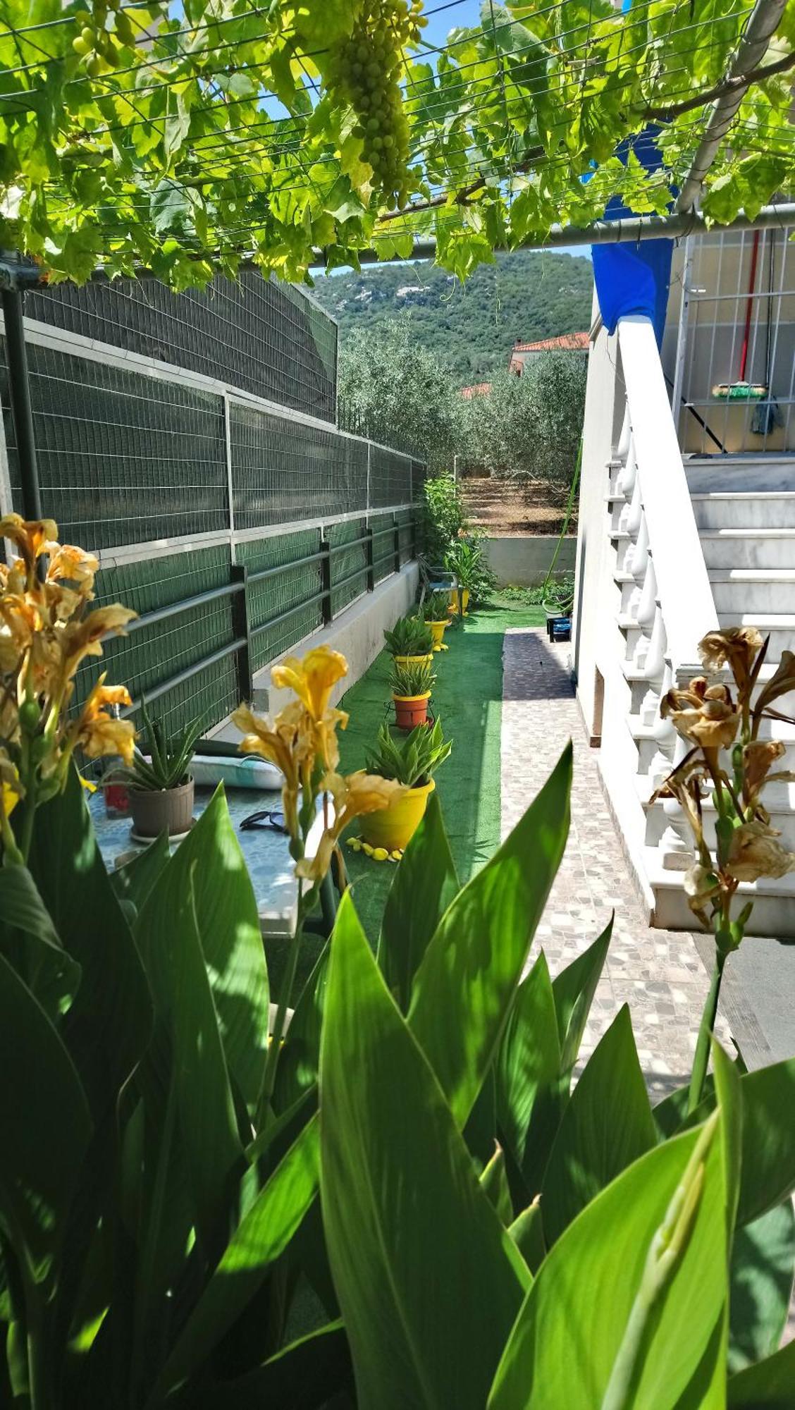 Christina'S House Διαμέρισμα Nea Iraklitsa Εξωτερικό φωτογραφία